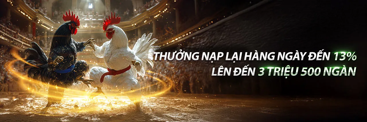 Đá Gà Trực Tiếp Thomo Ngày 8